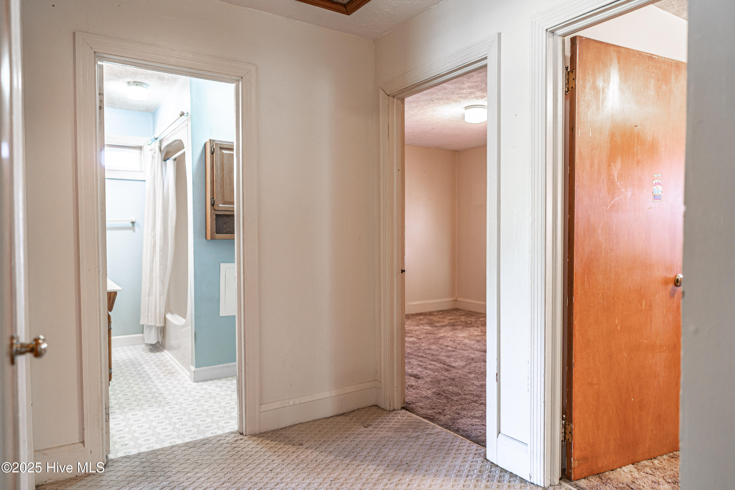 152 Gibbons Street Hamlet, NC 28345 - Photo 20 of 69 DSC04371