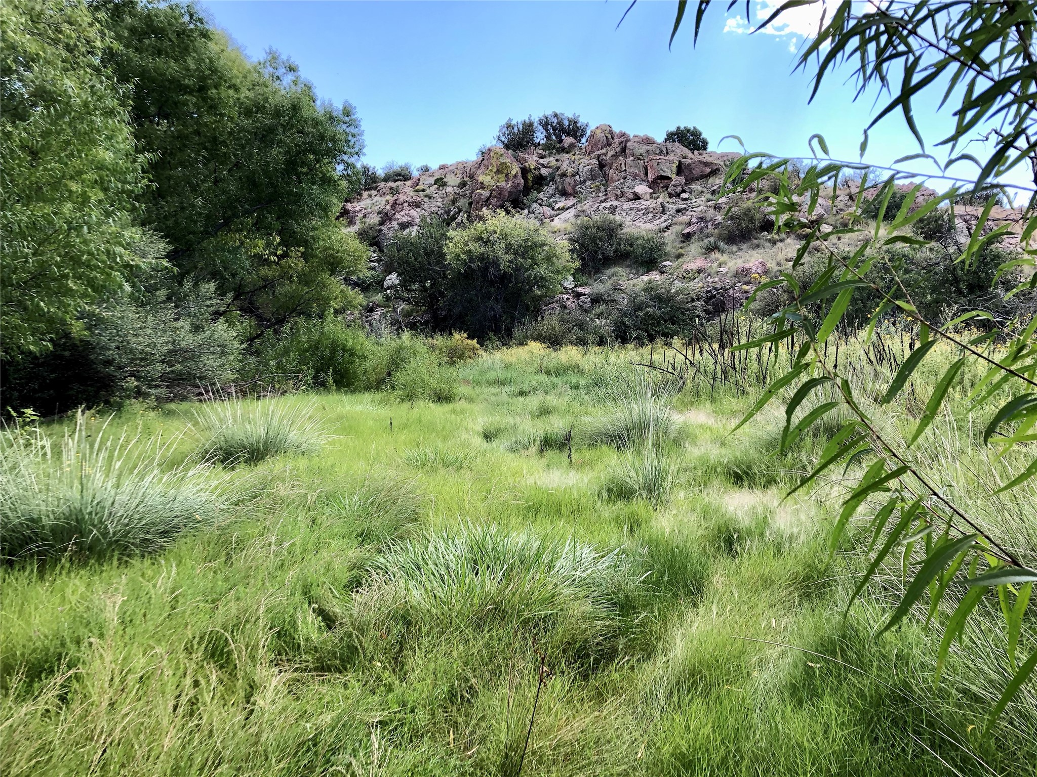 Pitchfork Pitchfork Ranch Silver City, NM 88061 - Photo 21 of 56