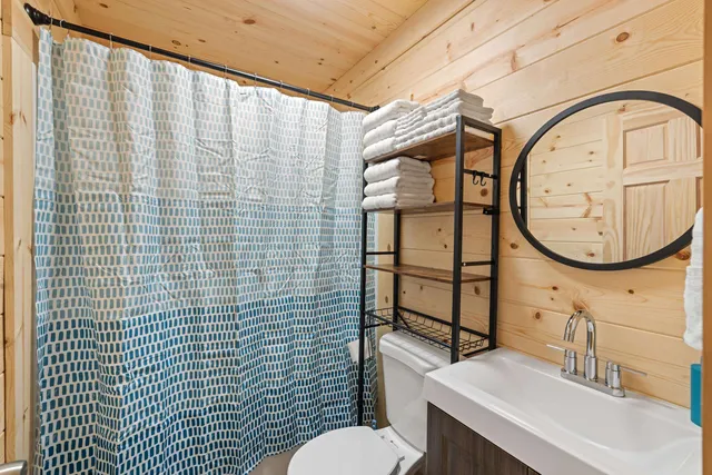 a bathroom with a sink a mirror a toilet and a shower