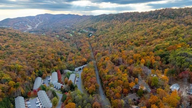 a view of a street with a building in the background