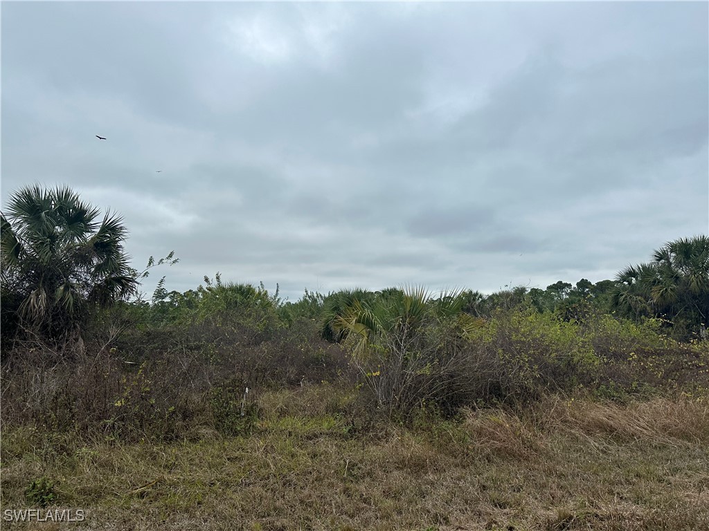 1259 Cavalier Circle Lehigh Acres, FL 33974 - Photo 3 of 8 a view of a dry yard with trees in back