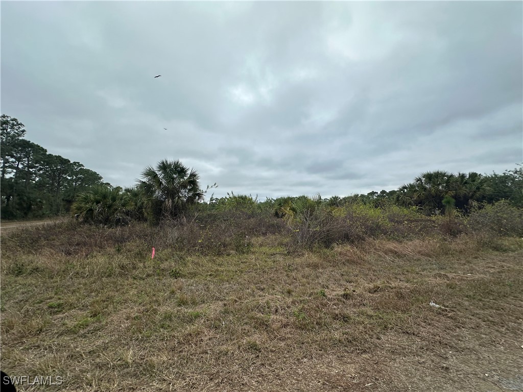1259 Cavalier Circle Lehigh Acres, FL 33974 - Photo 4 of 8 a view of a dry yard with trees in the background