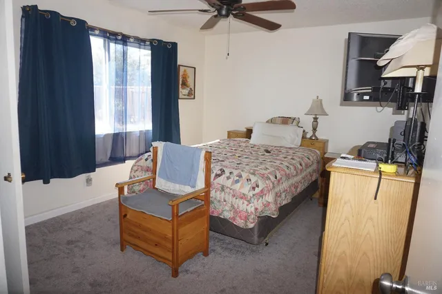 a bedroom with a bed couch and a window