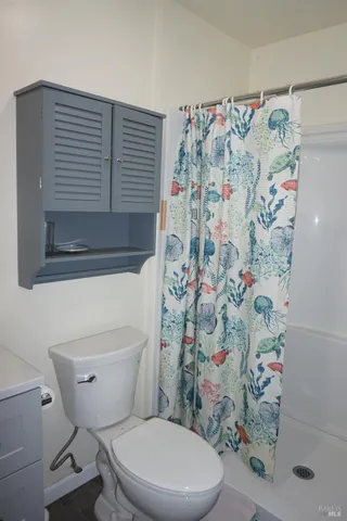 a white toilet sitting next to a shower curtain