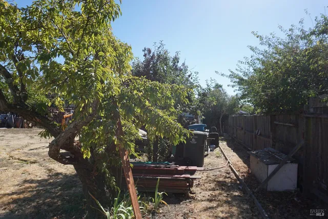 a view of a backyard with plants and a fire pit