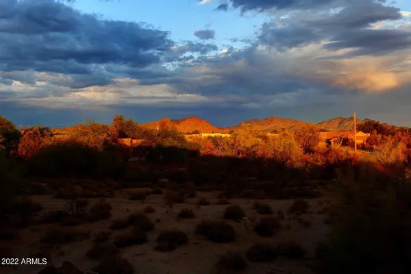 a view of a house with a tree