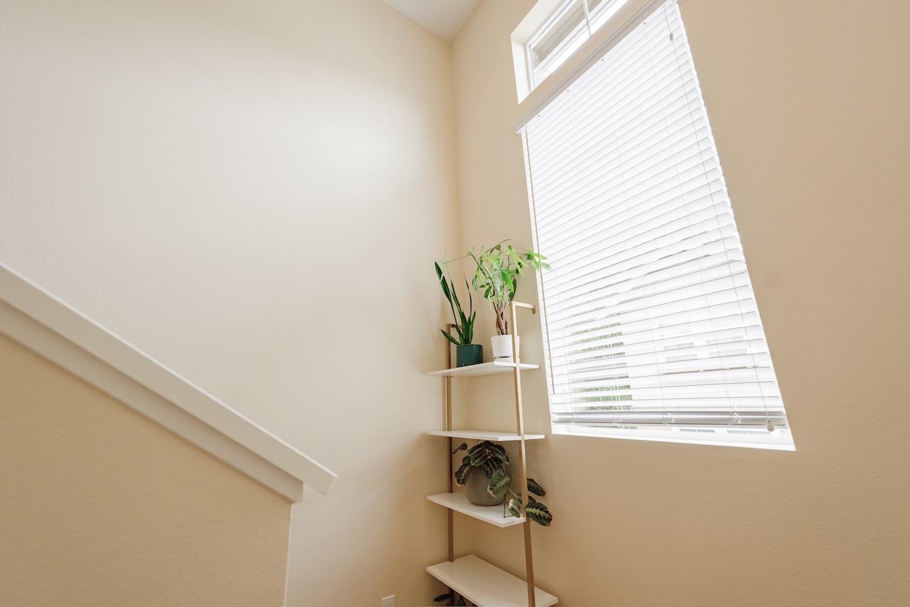 237 Bluebonnet Lane, Unit 304 Scotts Valley, CA 95066 - Photo 28 of 79 a bathroom with a window and a potted plant