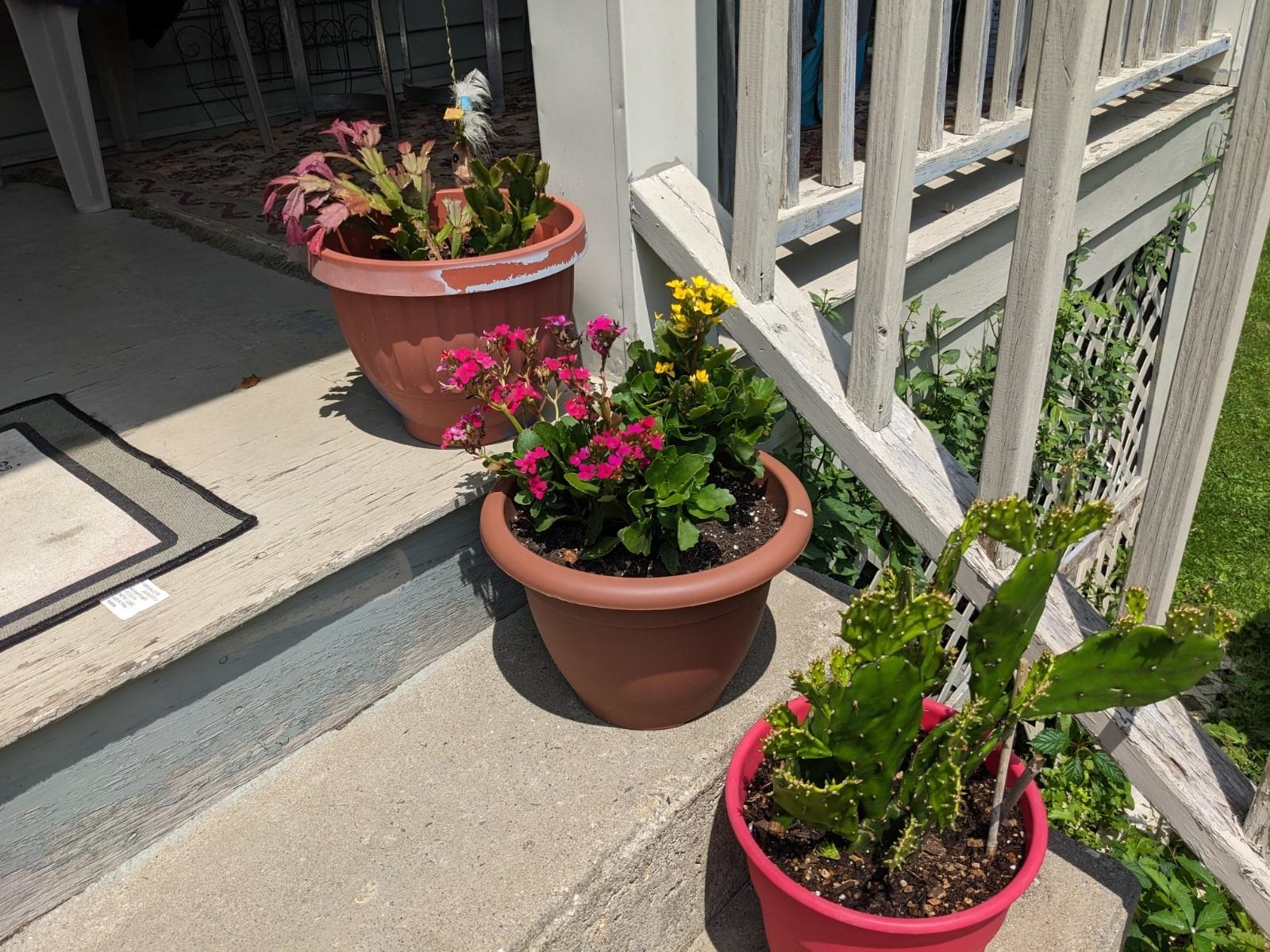 17 Jackson Avenue Rutland, VT 05701 - Photo 5 of 32