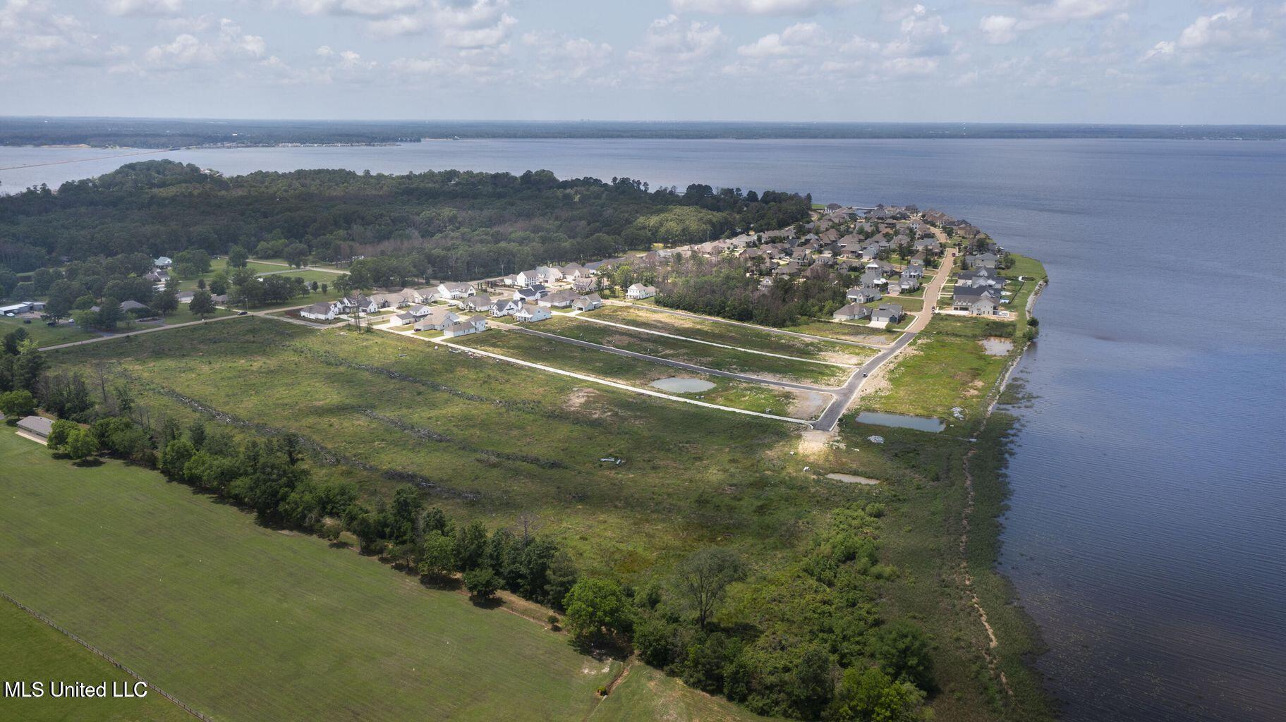 184 Crepe Myrtle Drive Brandon, MS 39047 - Photo 1 of 20 Arbor Landing 12