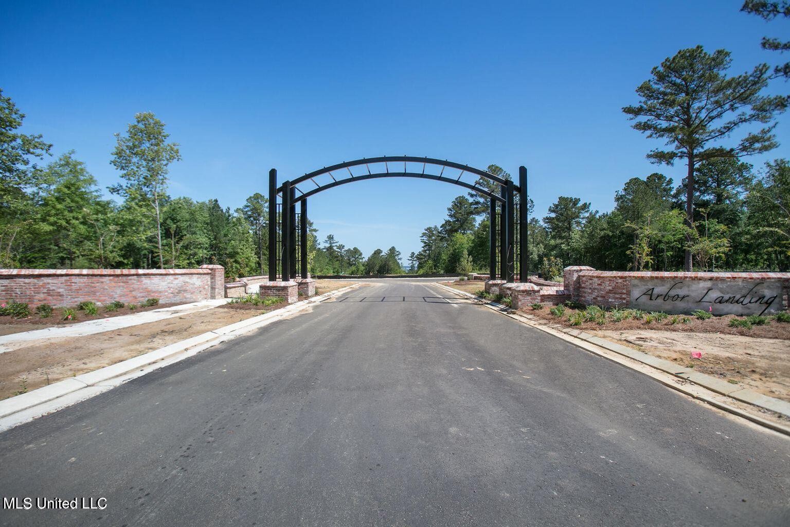 184 Crepe Myrtle Drive Brandon, MS 39047 - Photo 3 of 20 Arbor Landing entrance 2