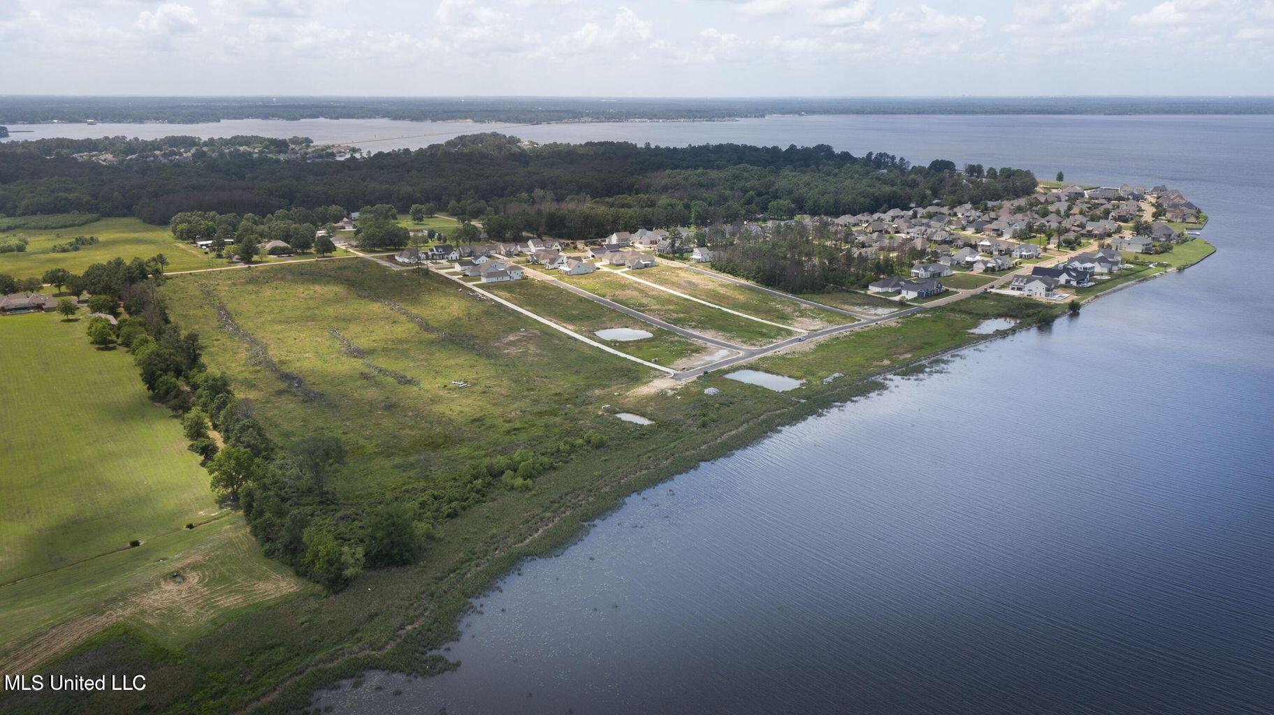 184 Crepe Myrtle Drive Brandon, MS 39047 - Photo 10 of 20 Arbor Landing 11