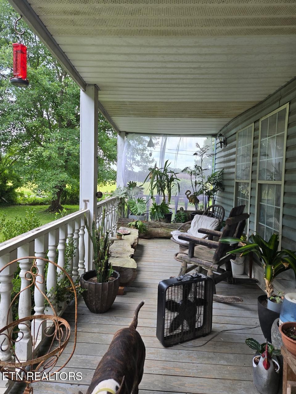 Gallery Image 6