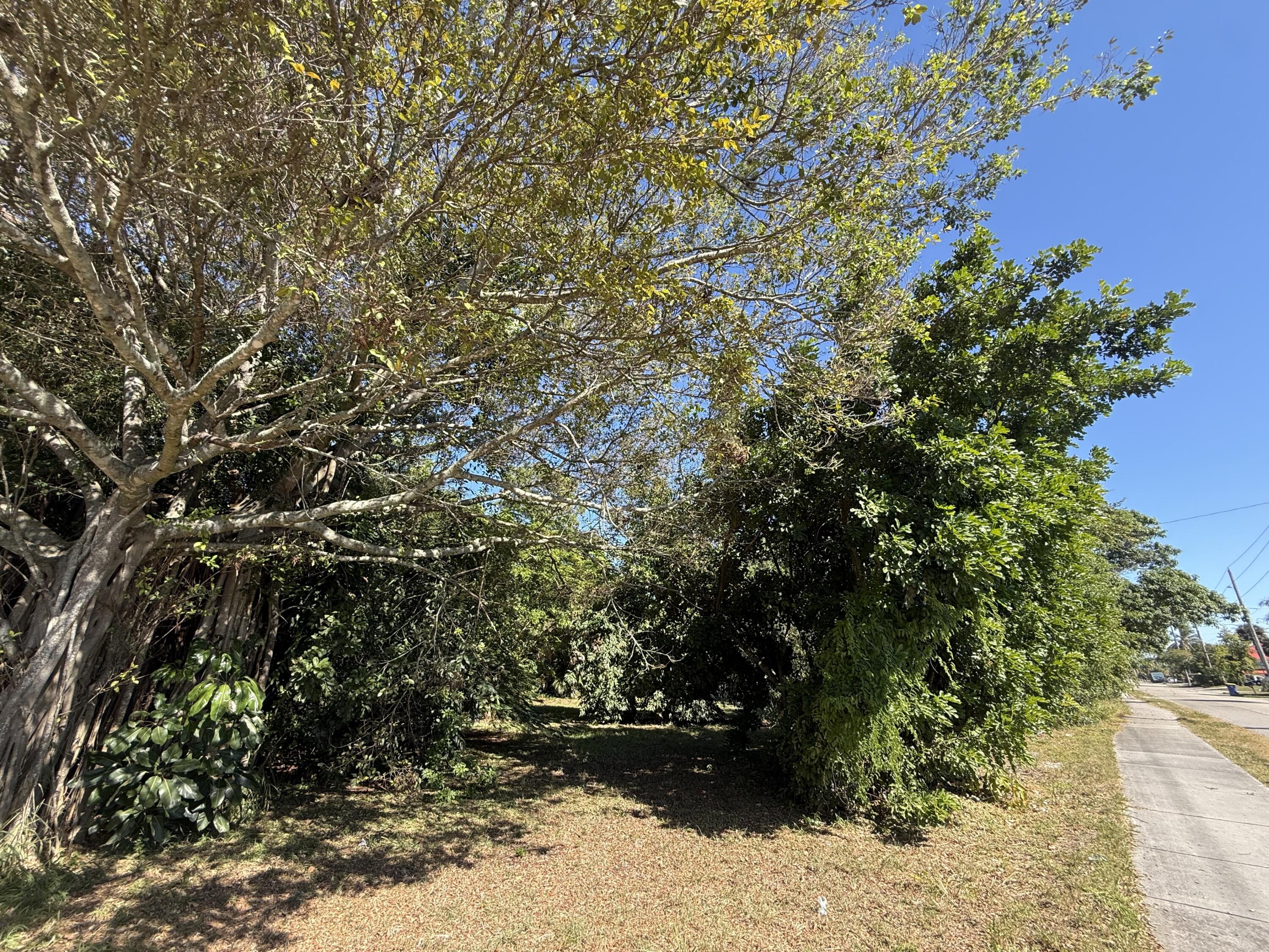 221 Southeast Seville Street Stuart, FL 34994 - Photo 6 of 6 a view of outdoor space and yard