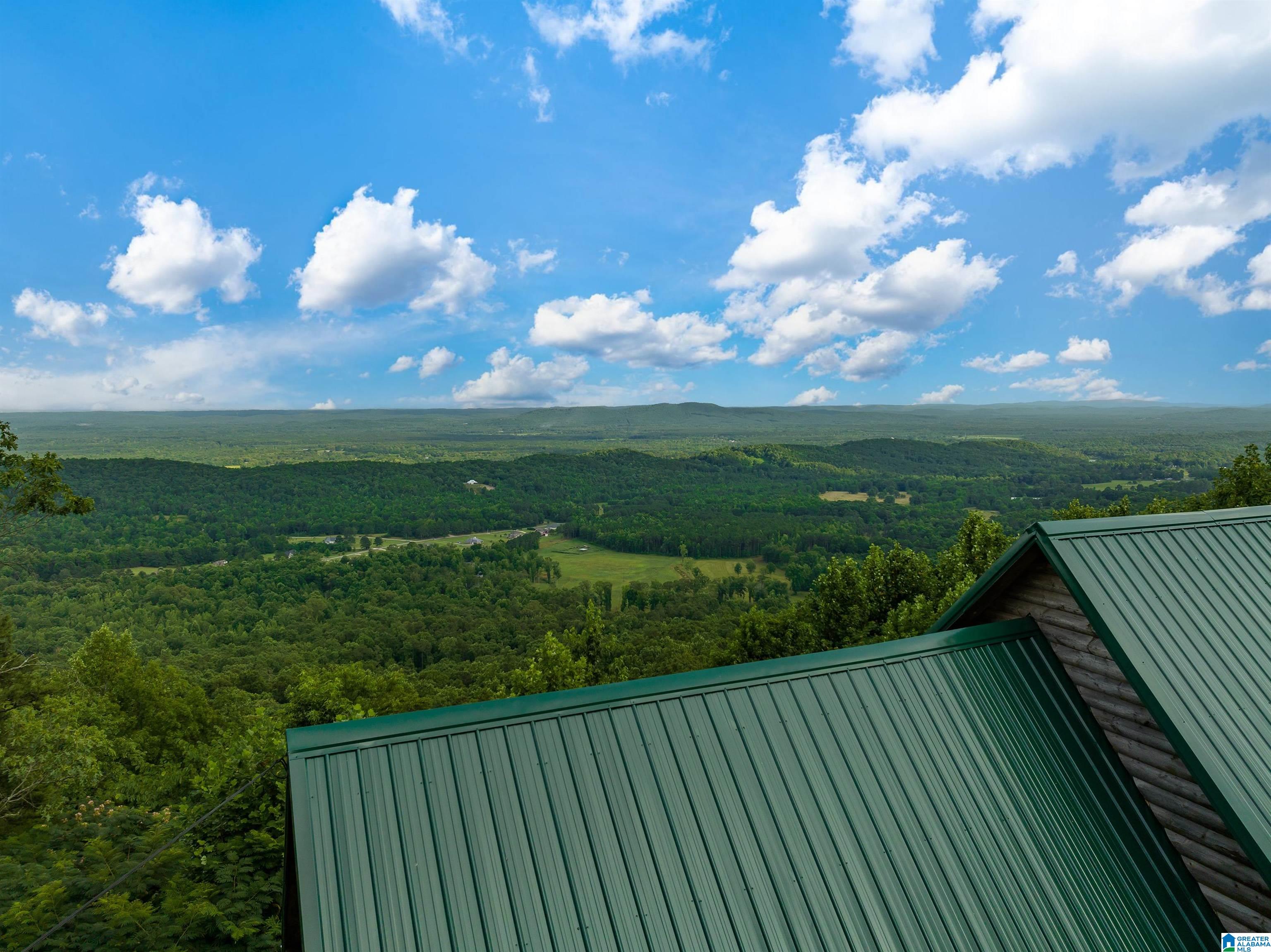 5924 Co Highway 24 Springville, AL 35146 - Photo 5 of 50