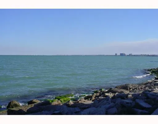 a view of an ocean beach