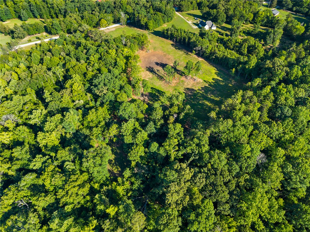 75 Hidden Acres Trail Pelzer, SC 29669 - Photo 32 of 32