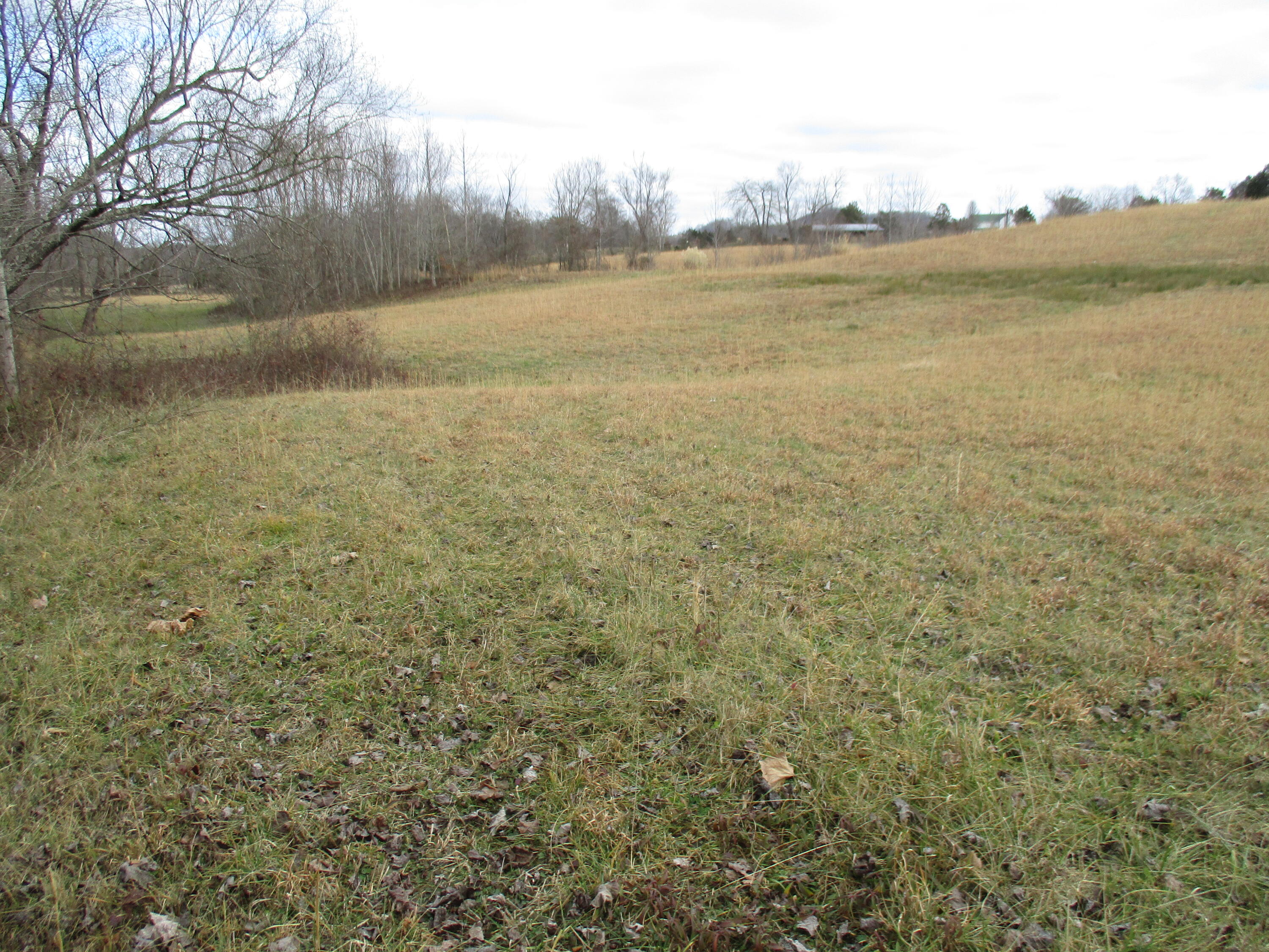 1015 Louden Road Williamsburg, KY 40769 - Photo 21 of 22 IMG_9470