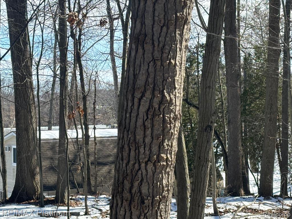 V/l Tipsico Lake Road Holly, MI 48442 - Photo 4 of 21 Gallery Image 4
