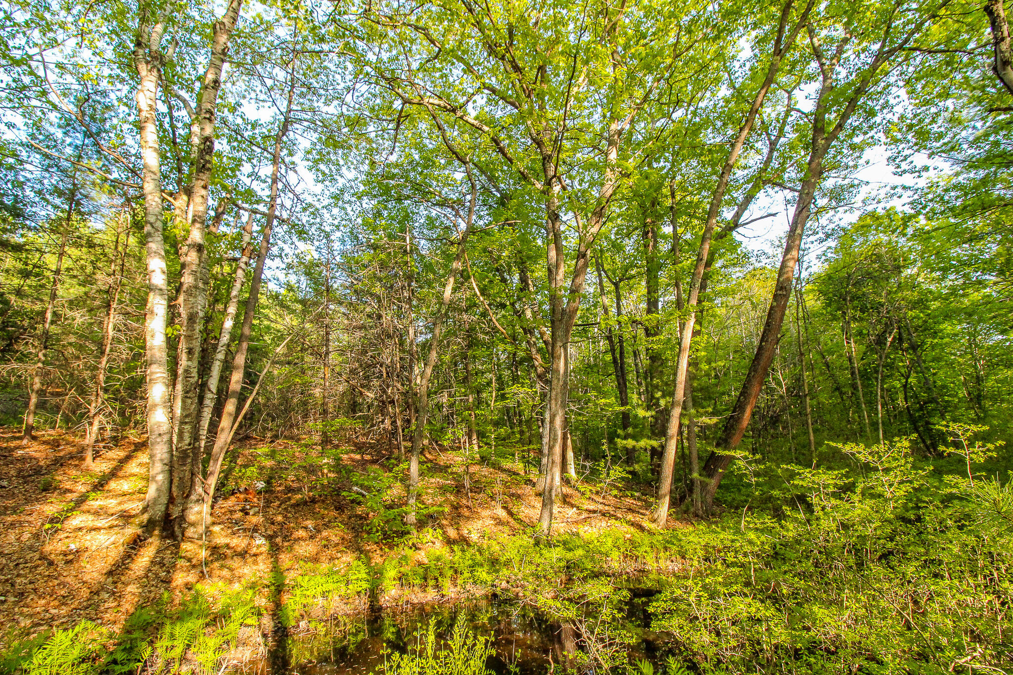 56 River Road Orrington, ME 04474 - Photo 11 of 11 IMG_0010
