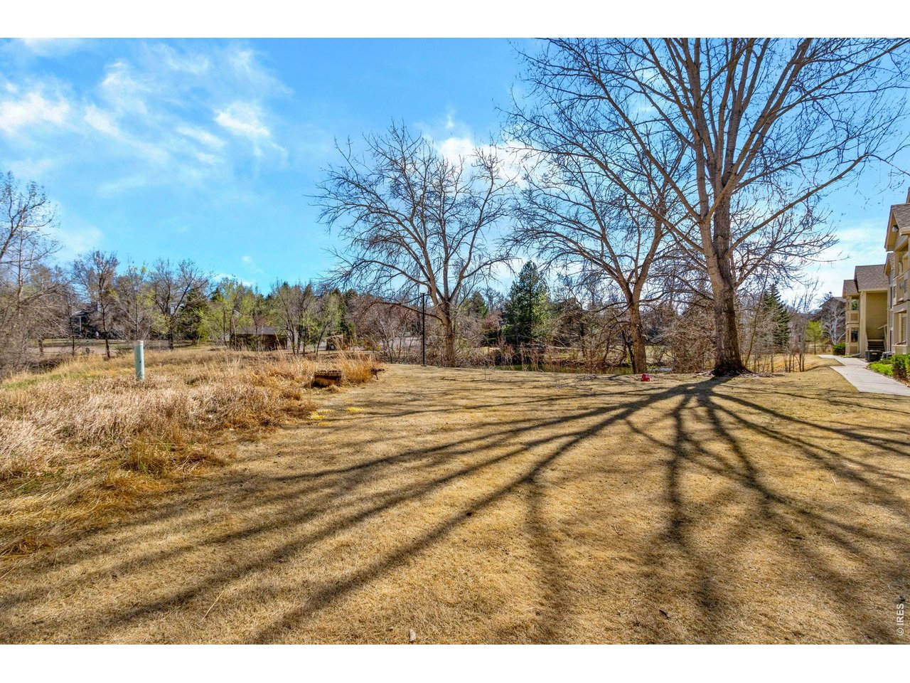 1225 West Prospect Road, Unit W99 Fort Collins, CO 80526 - Photo 37 of 45