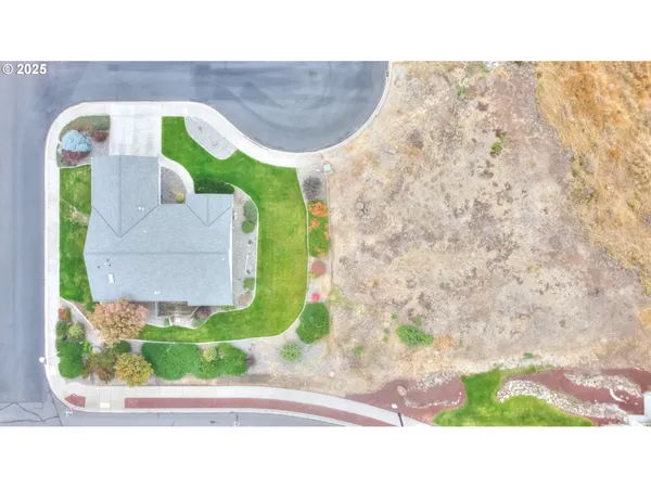 a picture of a park