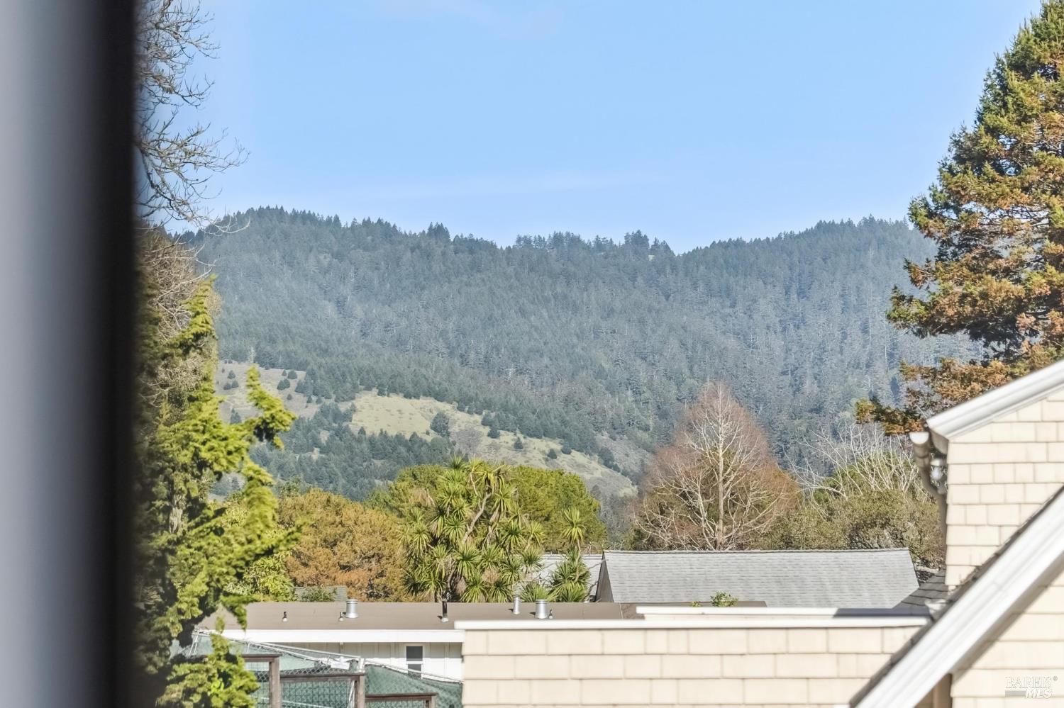 11 Wharf Road Bolinas, CA 94924 - Photo 37 of 47