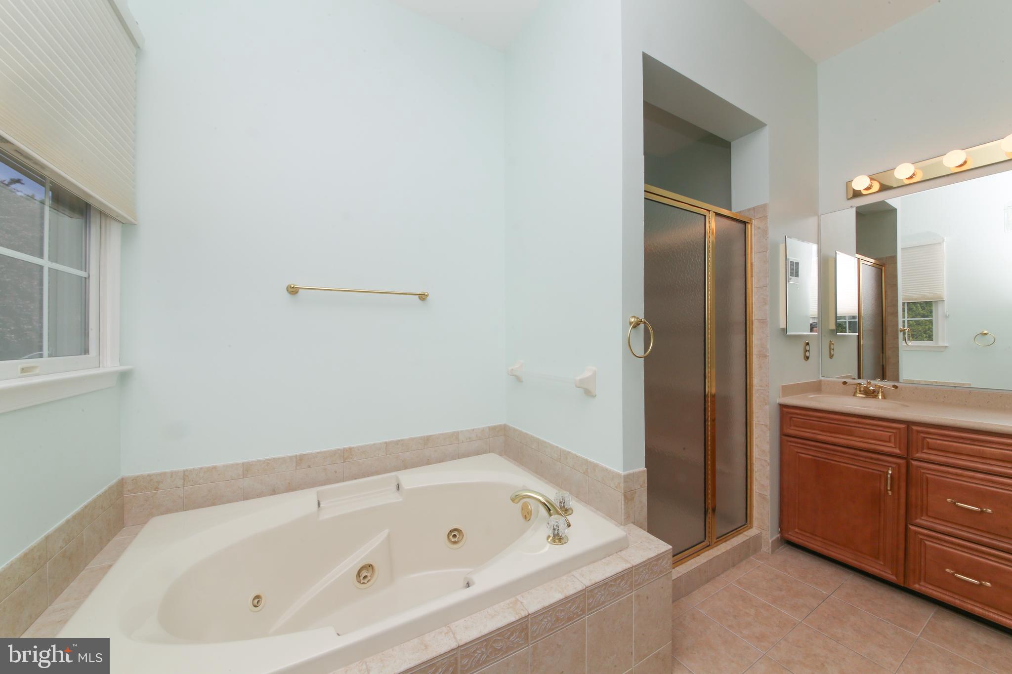 102 Sydney Road Southampton, PA 18966 - Photo 21 of 59 Jacuzzi w Jets