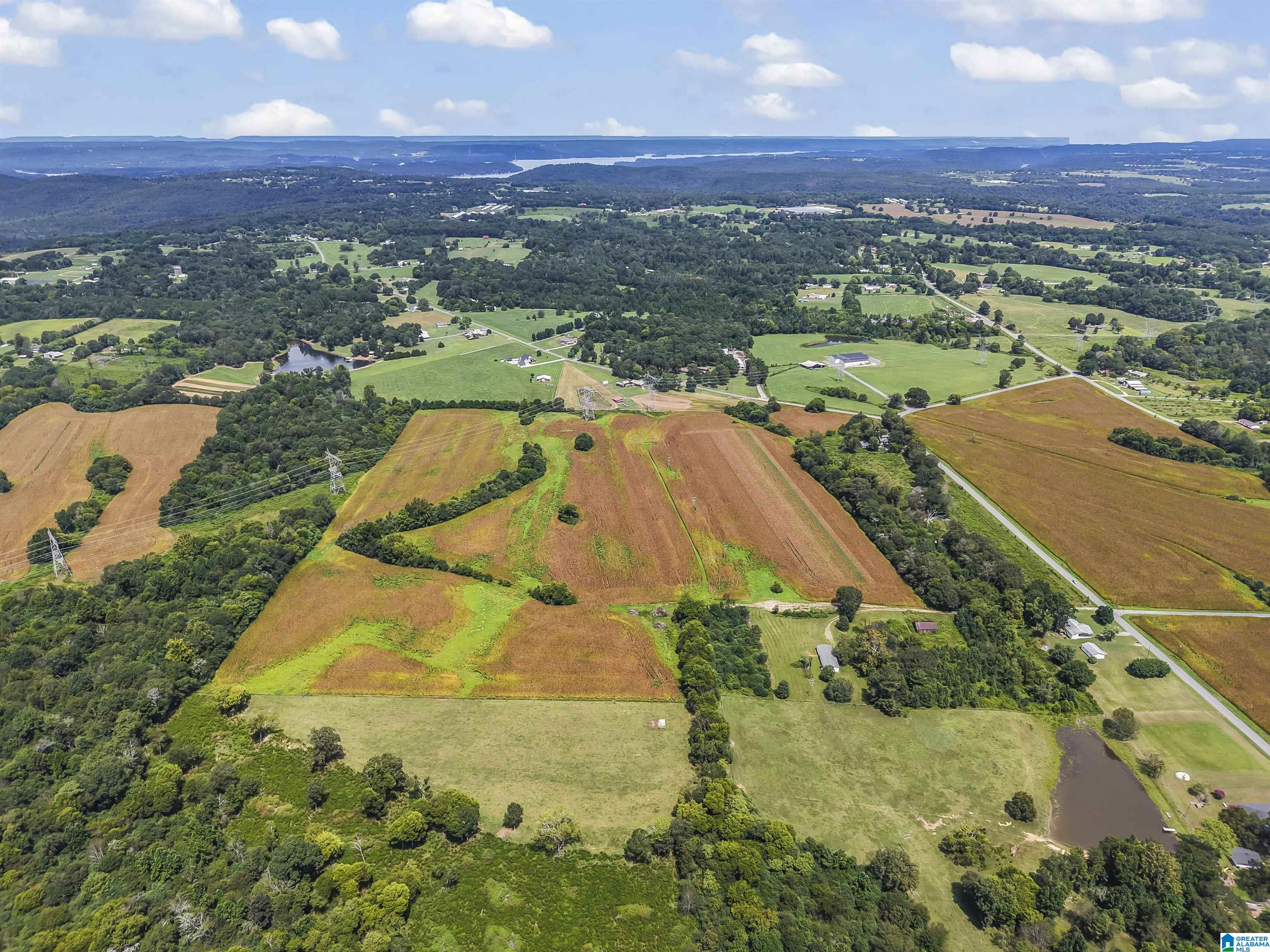 2649 Rice Mill Chavers Road Albertville, AL 35951 - Photo 16 of 51