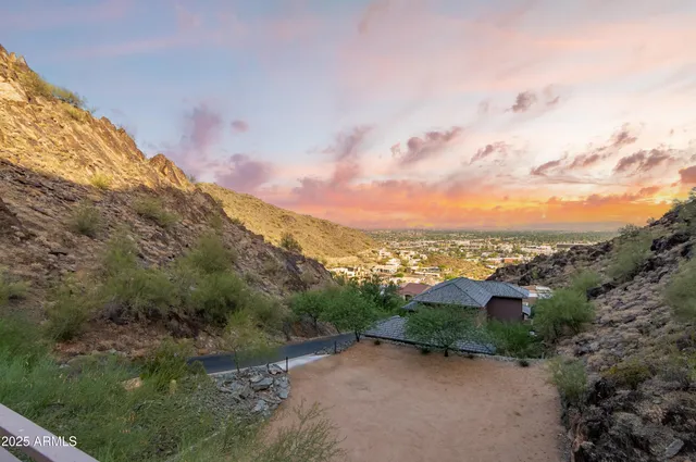 a view of a yard with potted plants