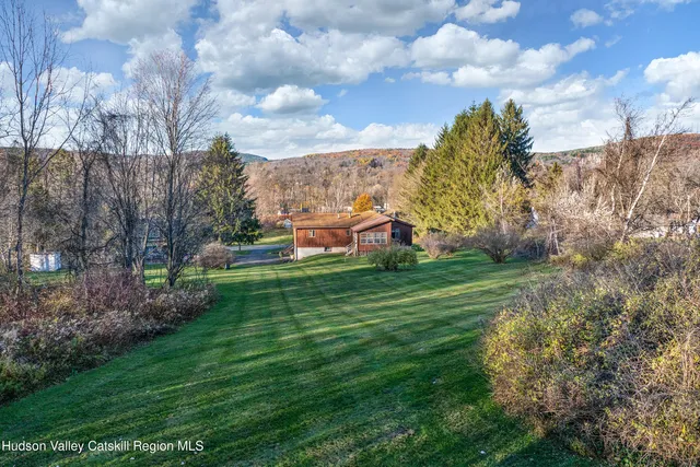 a view of a park with large trees