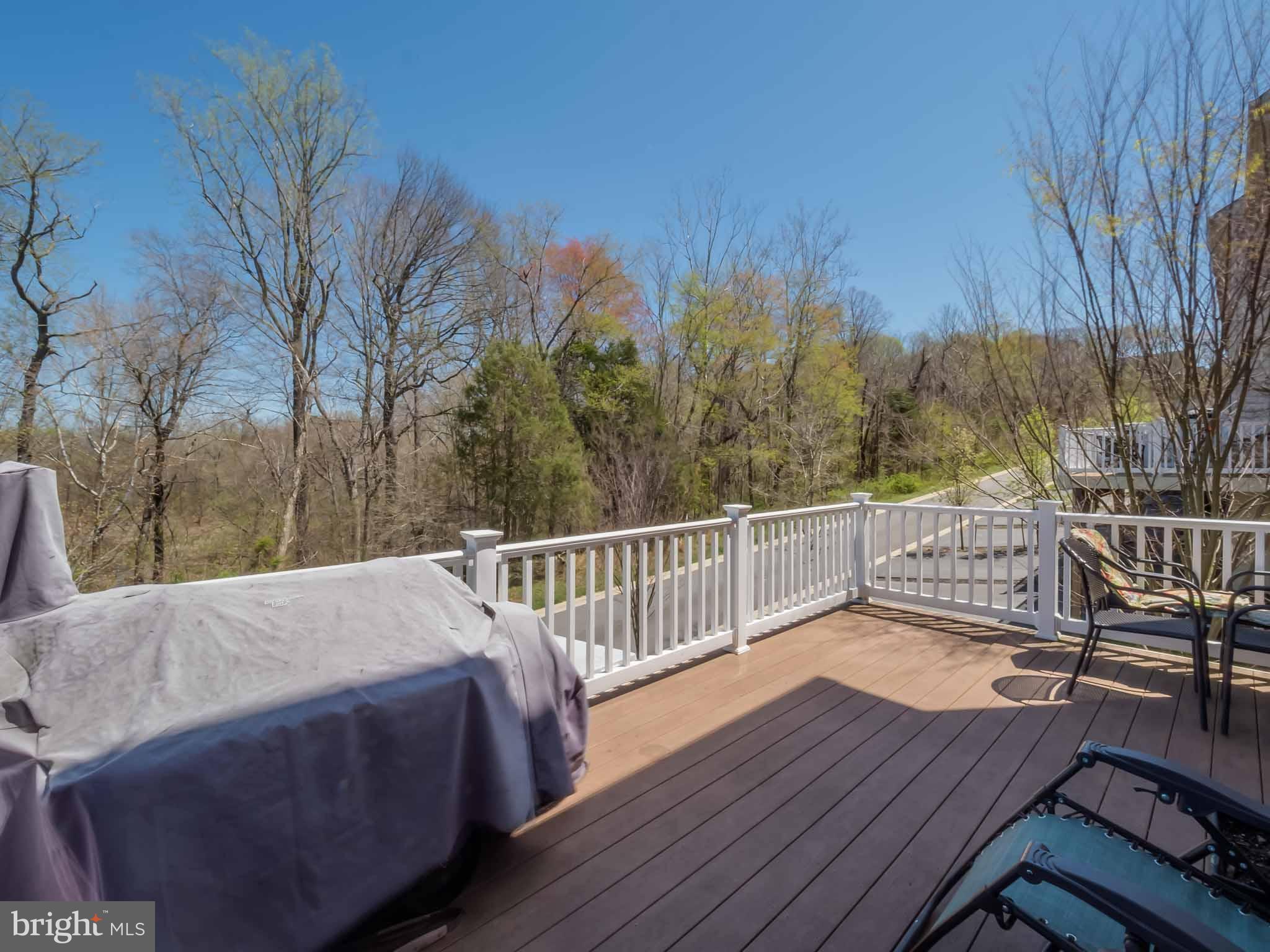 2608 St Marys View Road Accokeek, MD 20607 - Photo 3 of 30 Perfect spot for entertaining overlooking woodland