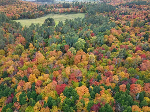 $395,000 | 0 Darling Hill Road, Lyndonville, VT 05851