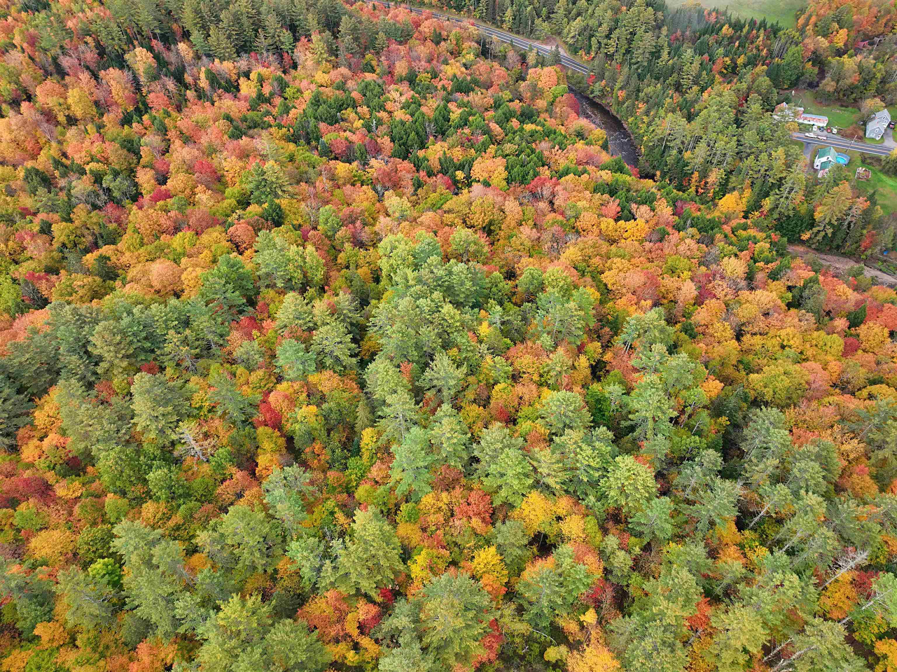 0 Darling Hill Road Lyndonville, VT 05851 - Photo 22 of 43