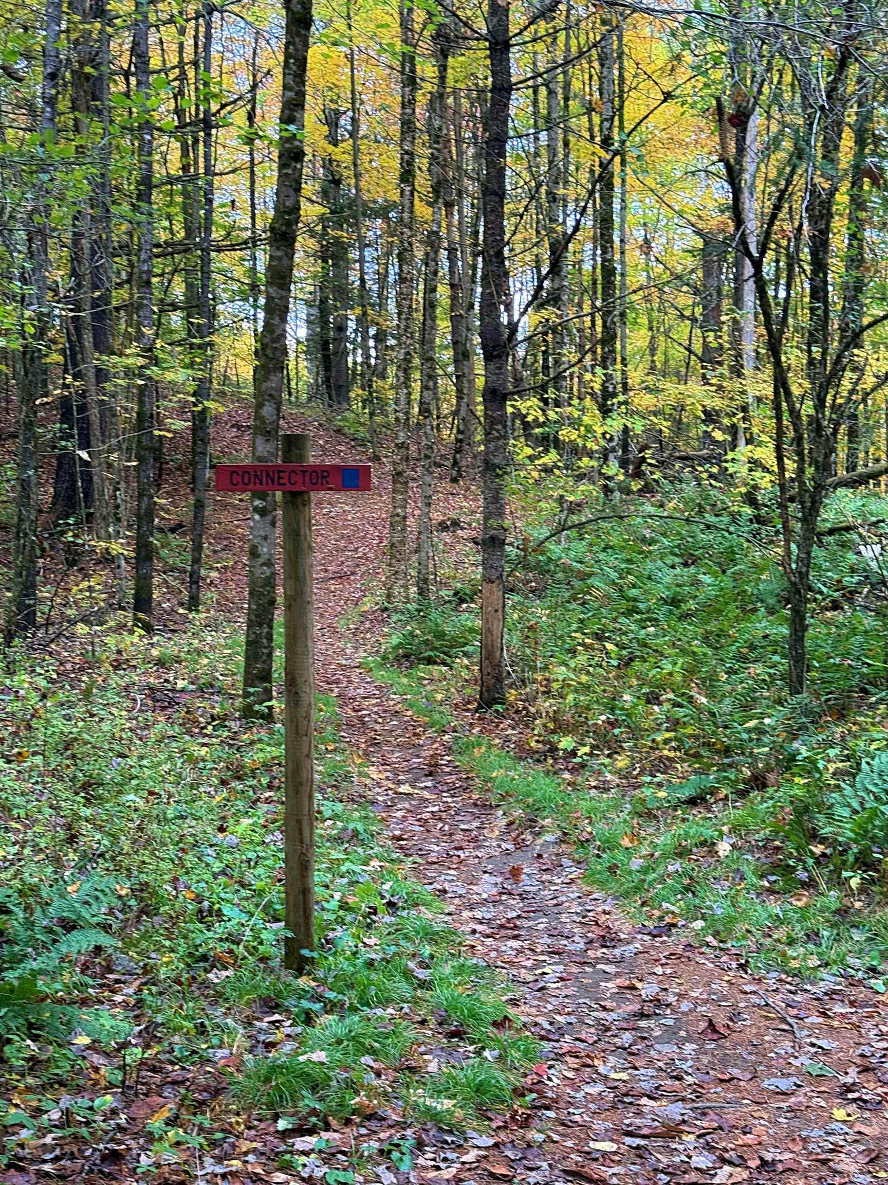 0 Darling Hill Road Lyndonville, VT 05851 - Photo 30 of 43