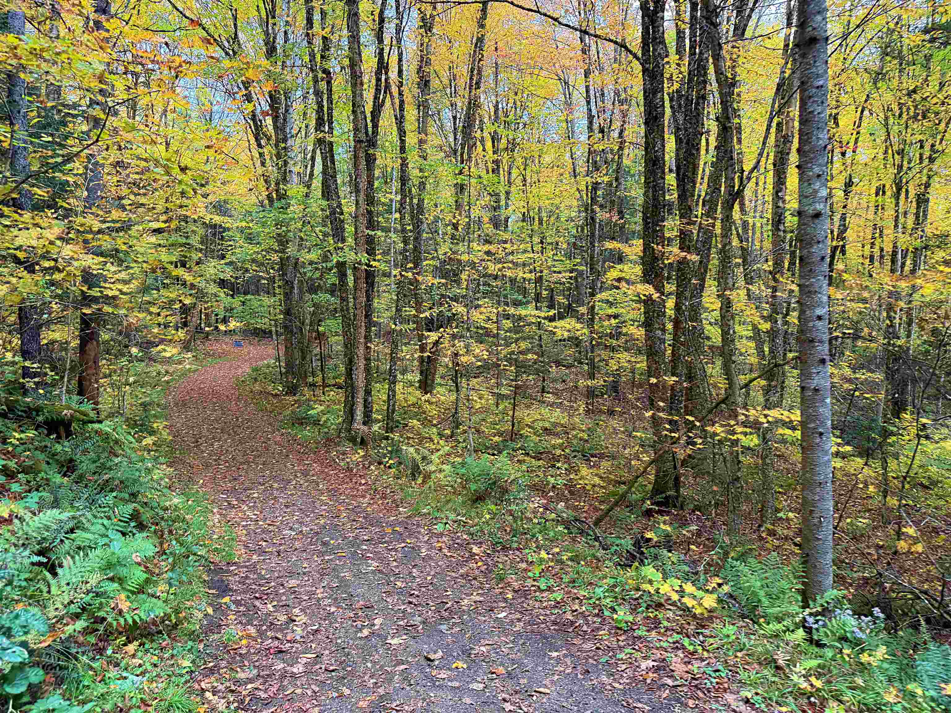 0 Darling Hill Road Lyndonville, VT 05851 - Photo 31 of 43