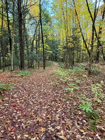 $395,000 | 0 Darling Hill Road, Lyndonville, VT 05851