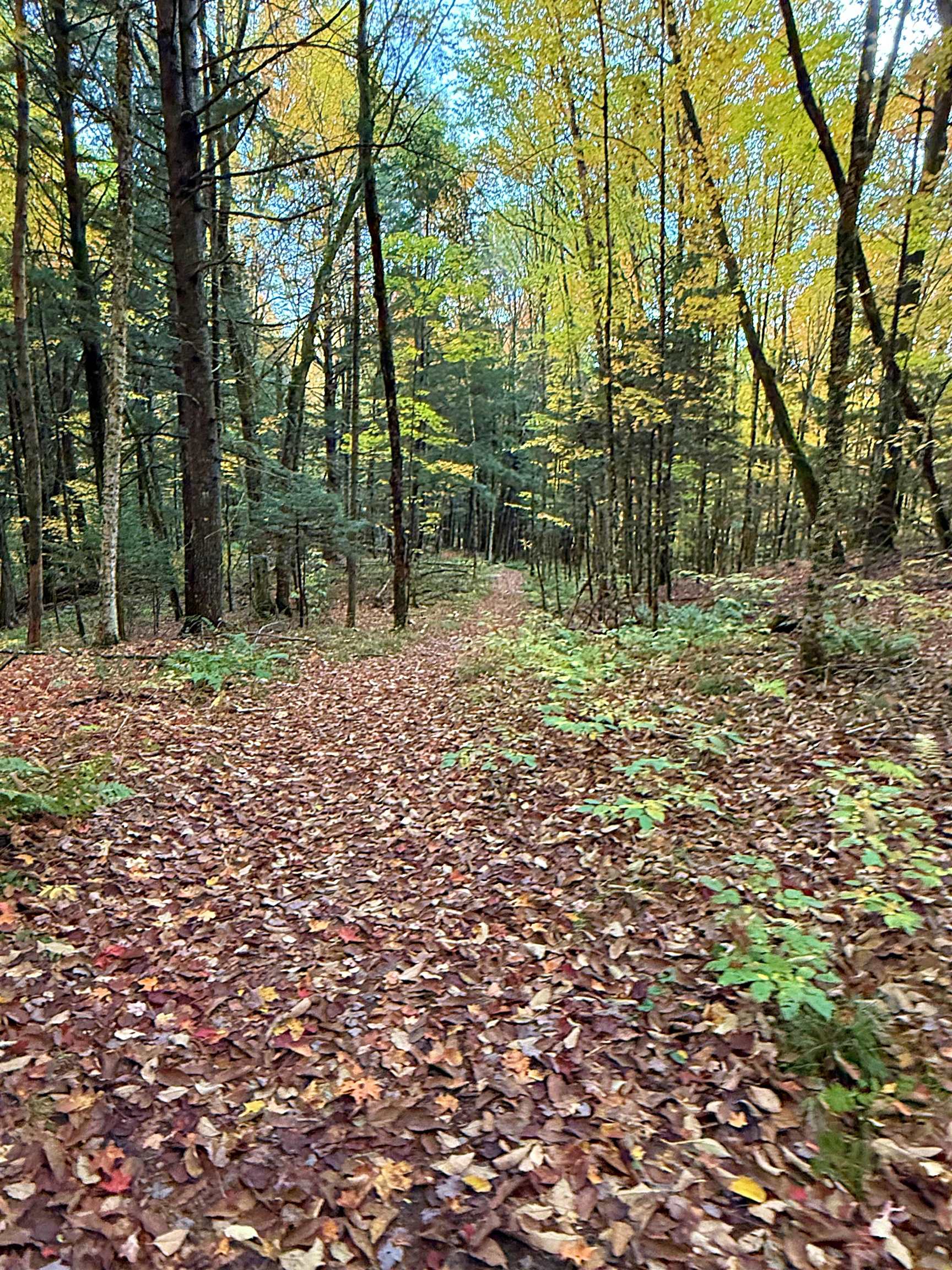 0 Darling Hill Road Lyndonville, VT 05851 - Photo 33 of 43