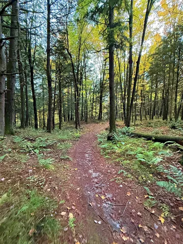 $395,000 | 0 Darling Hill Road, Lyndonville, VT 05851