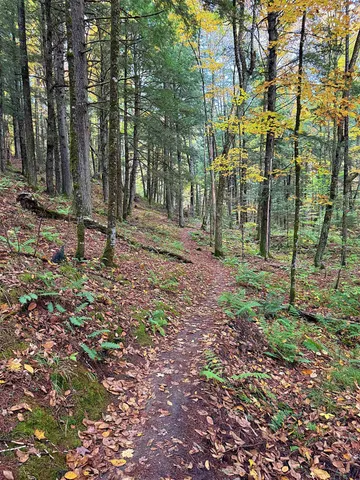 $395,000 | 0 Darling Hill Road, Lyndonville, VT 05851