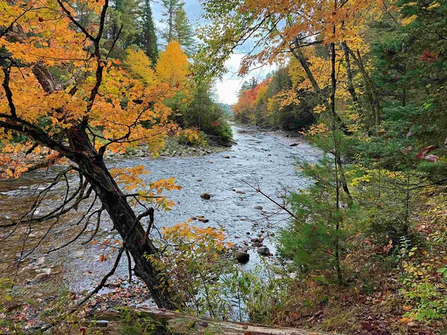 $395,000 | 0 Darling Hill Road, Lyndonville, VT 05851