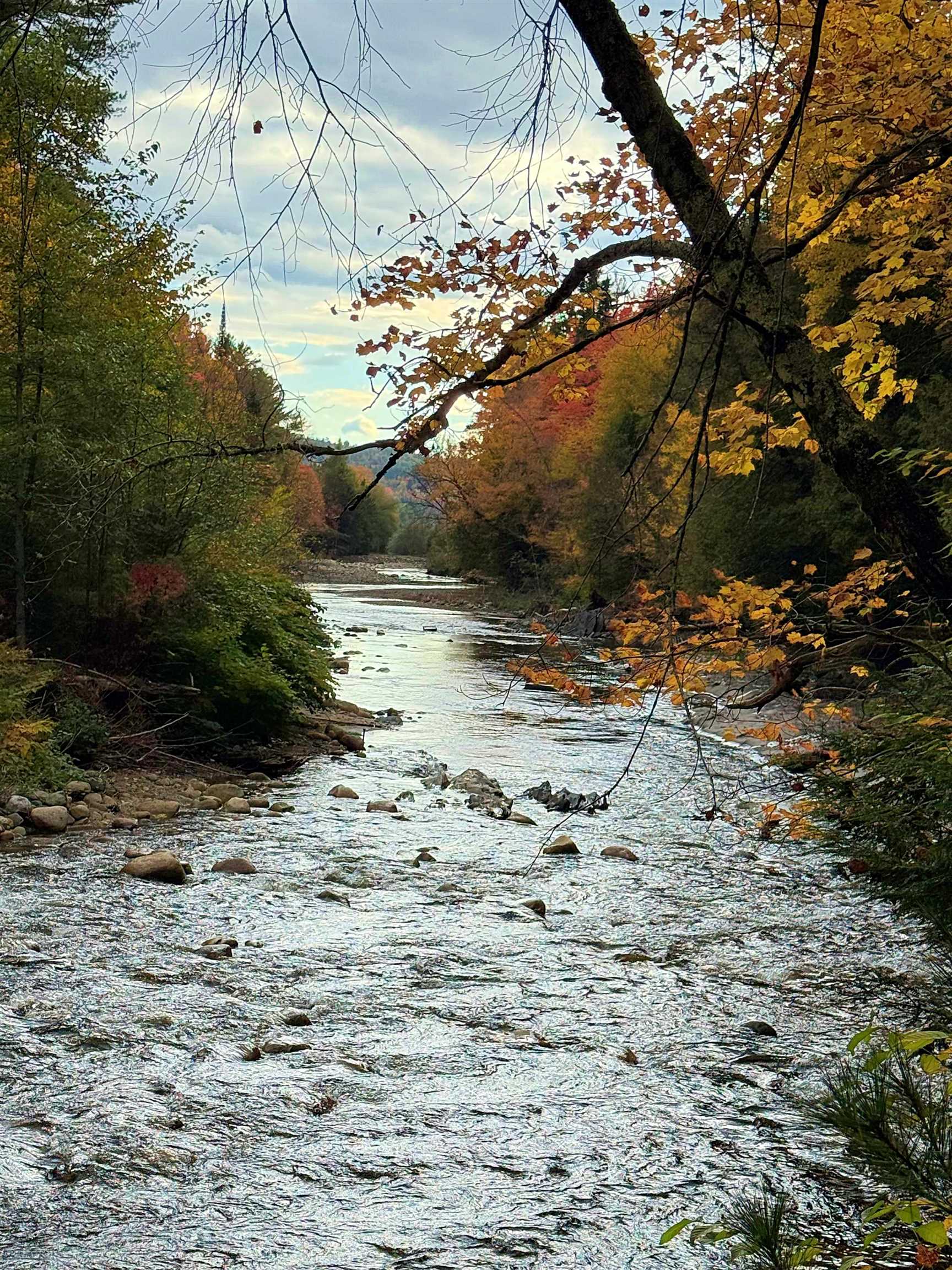 0 Darling Hill Road Lyndonville, VT 05851 - Photo 40 of 43