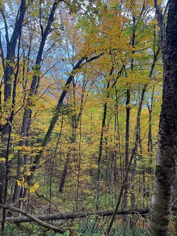 $395,000 | 0 Darling Hill Road, Lyndonville, VT 05851