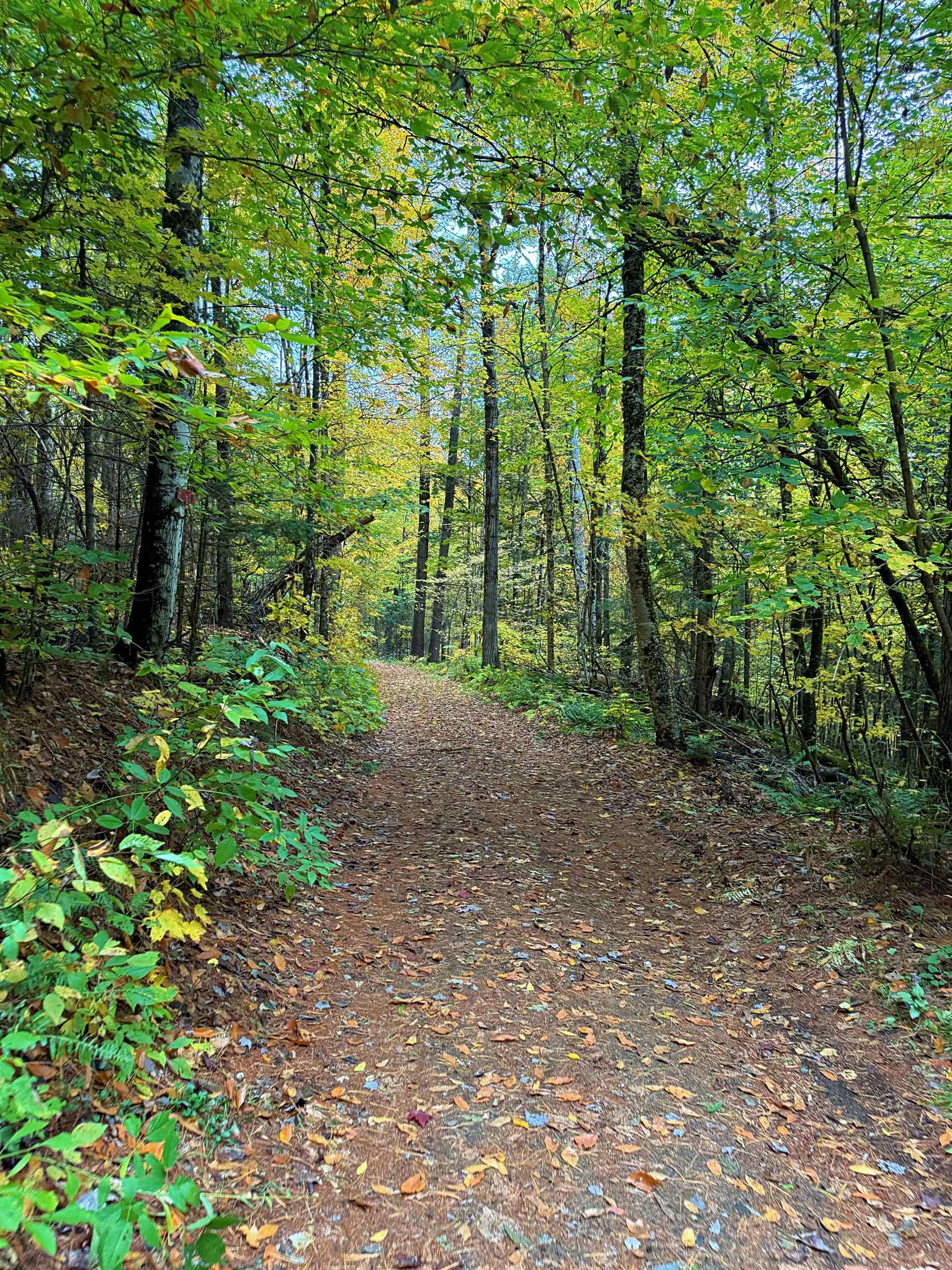 0 Darling Hill Road Lyndonville, VT 05851 - Photo 7 of 43