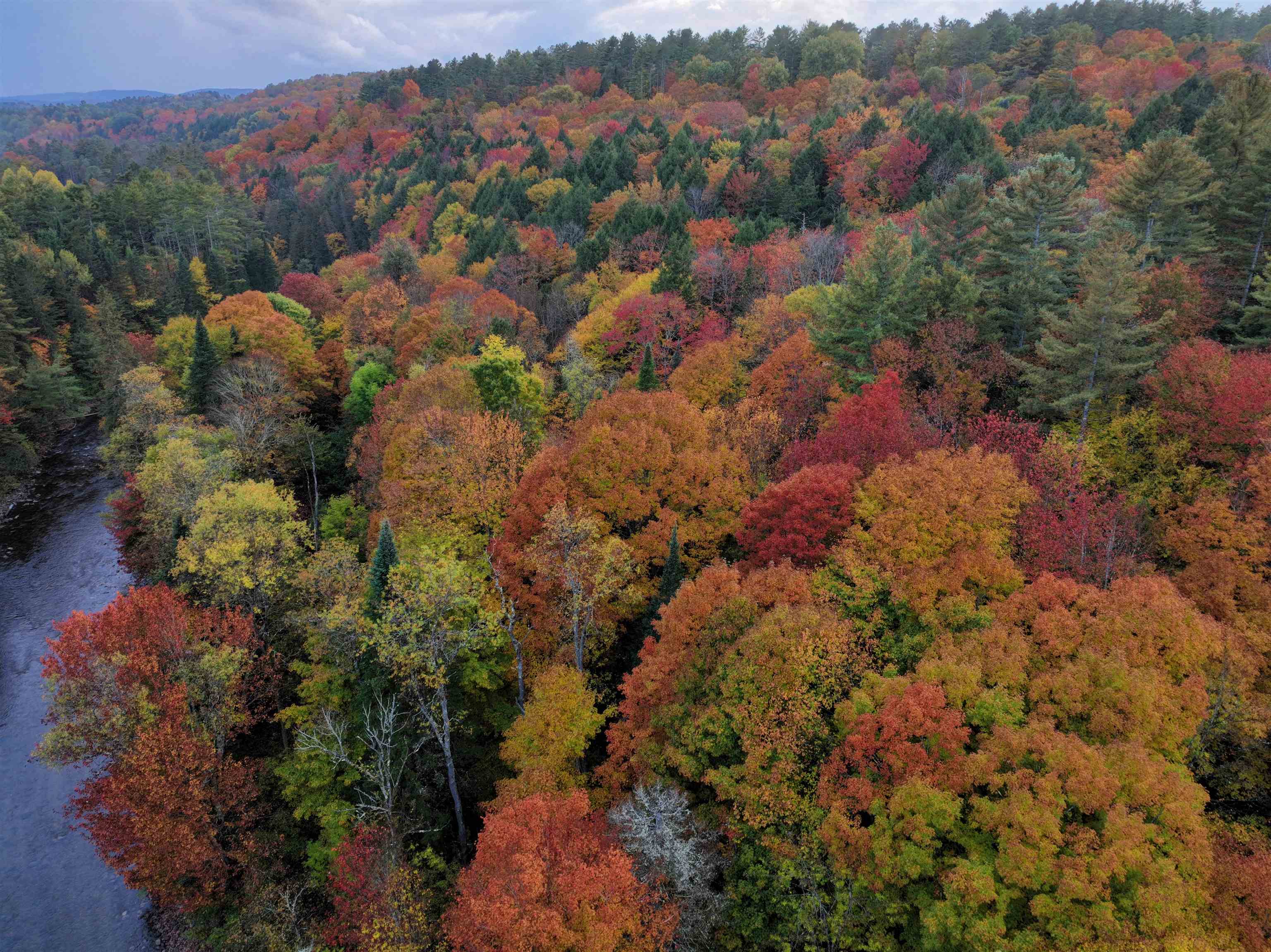 0 Darling Hill Road Lyndonville, VT 05851 - Photo 10 of 43