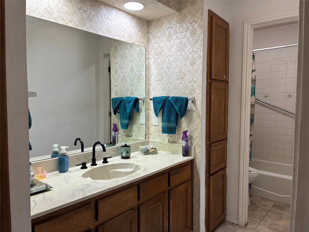 8430 Retta Mansfield Road Mansfield, TX 76063 - Photo 16 of 17 a bathroom with a sink and a mirror