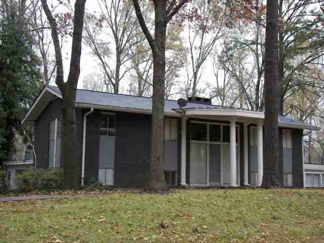 Main View