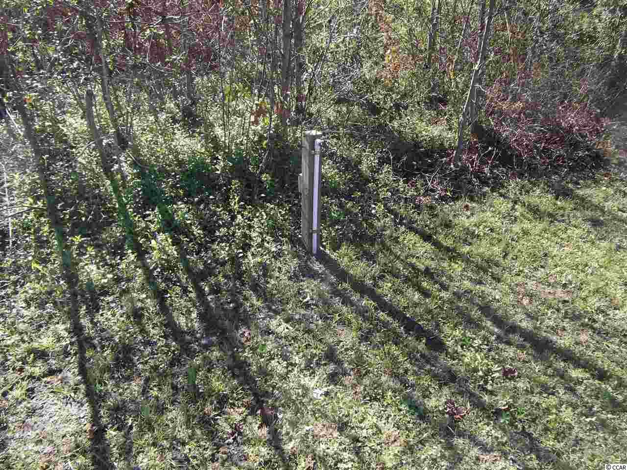 6976 Firehouse Road Conway, SC 29527 - Photo 17 of 20 Gallery Image 17