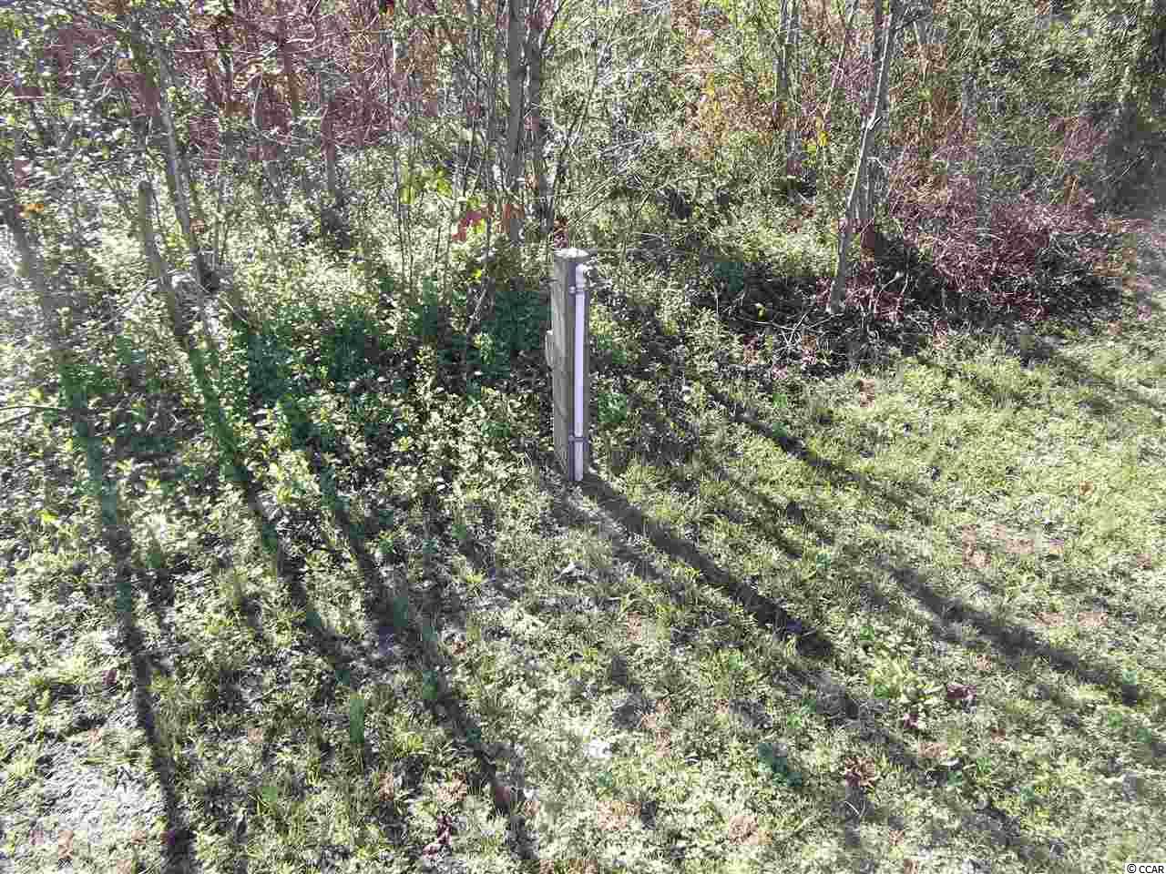 6976 Firehouse Road Conway, SC 29527 - Photo 18 of 20 Gallery Image 18