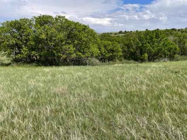 Tbd Beaubien Way Rye, CO 81069 - Photo 2 of 17