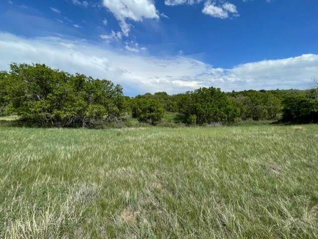 Tbd Beaubien Way Rye, CO 81069 - Photo 3 of 17
